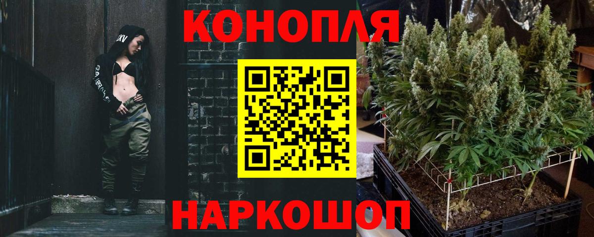 Конопля MAZAR Майкоп